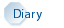 diary(text)